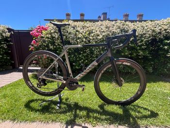 Used Canyon Grail CF SLX 8 AXS 2024 2024 Road & Gravel