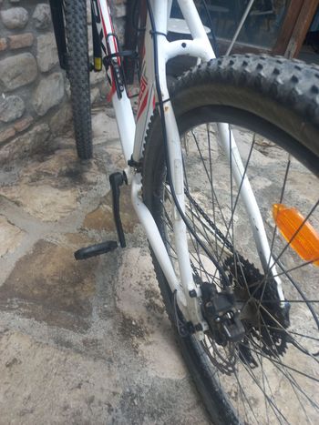 Used Eusebi Eusebi Custom Shimano Deore 2020 Mountainbike, White — image 2 of 5