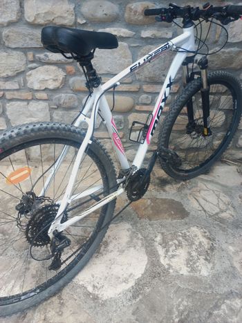Used Eusebi Eusebi Custom Shimano Deore 2020 Mountainbike, White — image 4 of 5