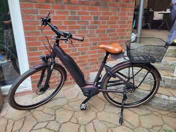 Used Grecos Grecos Custom Shimano Nexus Hub Gear 2023 Urban & Touring