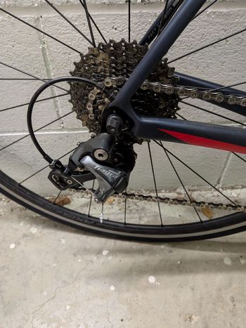 Used Specialized Roubaix SL4 2016 2016 Road & Gravel, Black — image 2 of 9