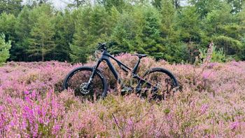 Used Canyon Neuron CF 8.0 2020 2020 MTB