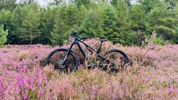 Canyon Neuron SRAM GX Eagle 2022 MTB usato