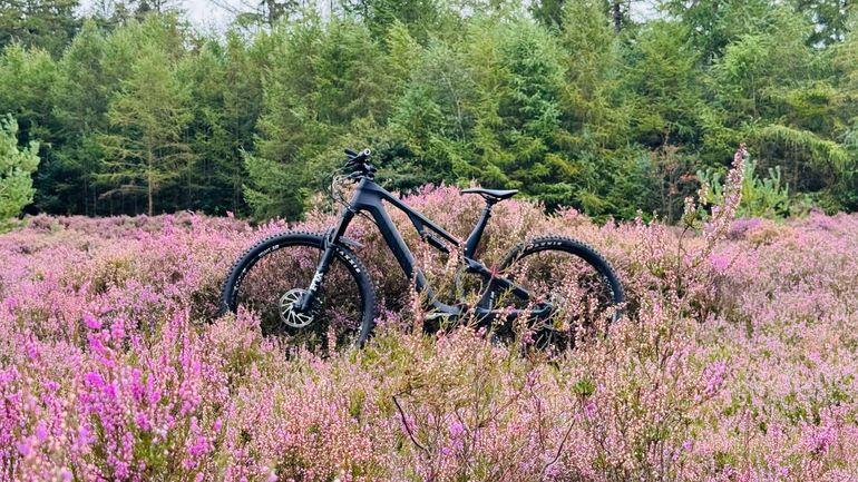 Used Canyon Neuron CF 8.0 2020 2020 Mountainbike, Schwarz, 27.5, 29 — image 1 of 5