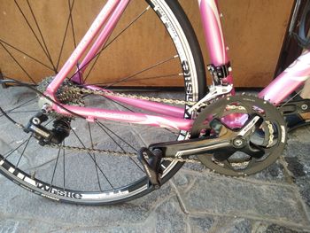 Used Whistle Whistle Custom Other Campagnolo 2018 Road & Gravel, White — image 3 of 3