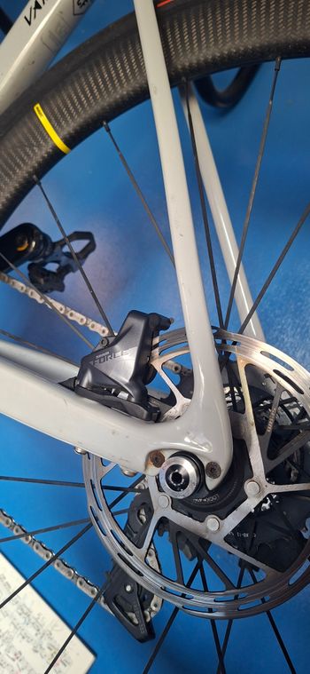 Used Radon Radon Vaillant Disc 10.0 EA 2024 Road & Gravel, Light Gray — image 12 of 12