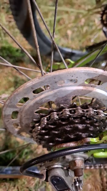 Used Kirsch Kirsch Custom Other 1970 Road & Gravel, Green — image 4 of 6