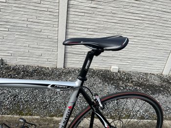 Used Colnago Prima 2012 Road & Gravel, Light Gray — image 14 of 21