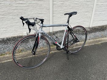 Used Colnago Prima 2012 Road & Gravel, Light Gray — image 21 of 21