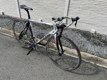 Used Colnago Prima 2012 Road & Gravel, Light Gray — image 10 of 21