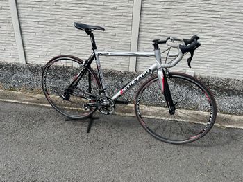 Used Colnago Prima 2012 Road & Gravel, Light Gray — image 12 of 21