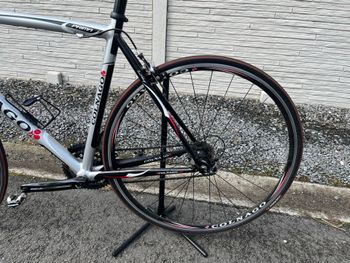 Used Colnago Prima 2012 Road & Gravel, Light Gray — image 16 of 21
