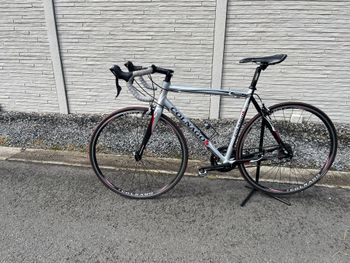Used Colnago Prima 2012 Road & Gravel, Light Gray — image 7 of 21