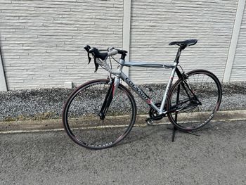 Used Colnago Prima 2012 Road & Gravel, Light Gray — image 19 of 21