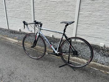 Used Colnago Prima 2012 Road & Gravel, Light Gray — image 18 of 21