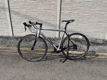 Used Colnago Prima 2012 Road & Gravel, Light Gray — image 20 of 21