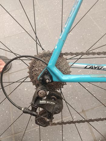 Used Focus Focus Cayo Carbon AG2R - XL 2017 2017 Road & Gravel — image 3 of 14