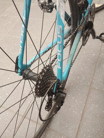 Used Focus Focus Cayo Carbon AG2R - XL 2017 2017 Road & Gravel — image 11 of 14