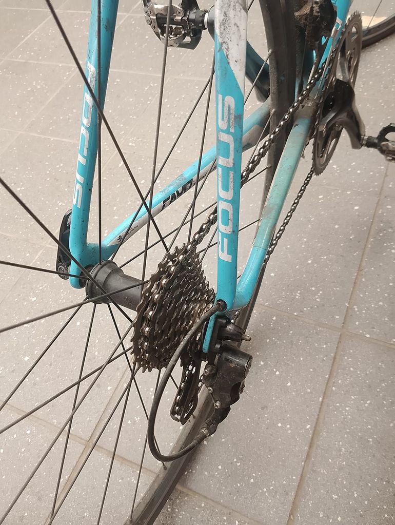 Used Focus Focus Cayo Carbon AG2R - XL 2017 2017 Road & Gravel — image 11 of 14