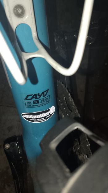Used Focus Focus Cayo Carbon AG2R - XL 2017 2017 Road & Gravel — image 14 of 14