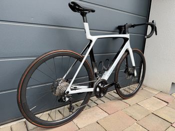 Used Trek Madone SL 6 Gen 8 2025 2025 Road & Gravel, White — image 14 of 20