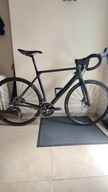 Used Canyon Endurace WMN CF SL Disc 7.0 2019 2019 Road & Gravel