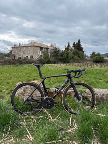 Used Trek Madone SL 6 Gen 8 2025 2025 Road & Gravel