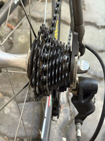 Used Look Look Custom Campagnolo Chorus 2002 Road & Gravel, Black — image 5 of 11