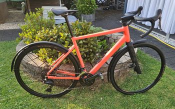 Used Rose Blend Road 2025 2025 Road & Gravel