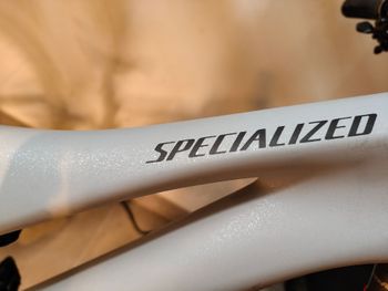 Used Specialized Stumpjumper LTD 2023 2023 Mountainbike, Hellgrau, 29 — image 10 of 25