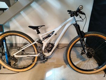 Used Specialized Stumpjumper LTD 2023 2023 MTB