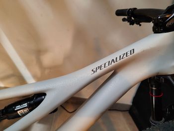 Used Specialized Stumpjumper LTD 2023 2023 Mountainbike, Hellgrau, 29 — image 21 of 25