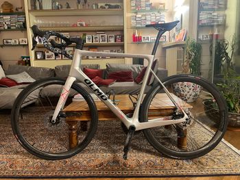 Used Olmo GEPIN Frameset 2023 Road & Gravel, Light Gray — image 2 of 6