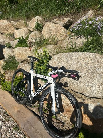 Brugt Argon 18 Custom Campagnolo Record 2012 Road & Gravel