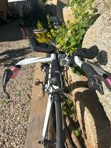 Tweedehands Argon 18 Custom Campagnolo Record 2012 Road & Gravel — afbeelding 6 van 7