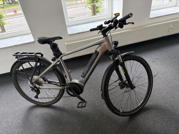 Used Rose XTRA WATT EVO PLUS 1 Herren 2023 2023 Urban, Hellgrau — image 3 of 3