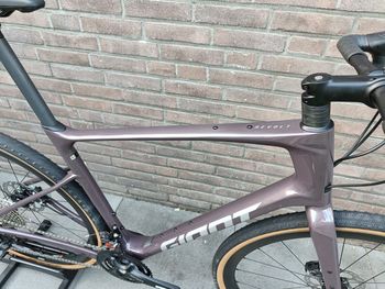 Used Giant Revolt Advanced 0 2023 2023 Road & Gravel, Purple — image 11 of 13