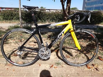 Used Giant Tcr Other Campagnolo 1999 Road & Gravel
