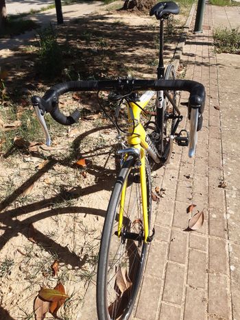 Used Giant Tcr Other Campagnolo 1999 Road & Gravel, Black — image 7 of 22