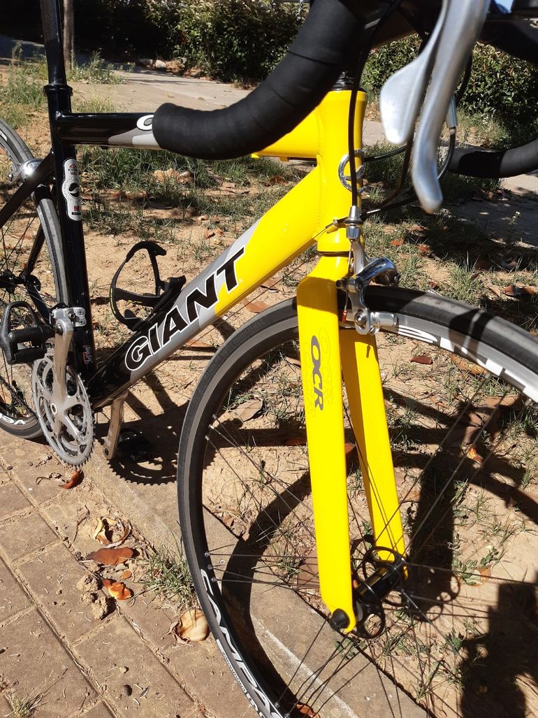 Used Giant Tcr Other Campagnolo 1999 Road & Gravel, Black — image 14 of 22