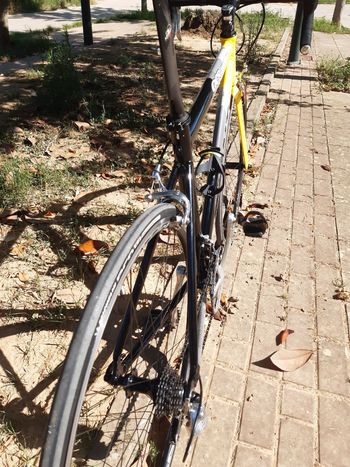 Used Giant Tcr Other Campagnolo 1999 Road & Gravel, Black — image 13 of 22