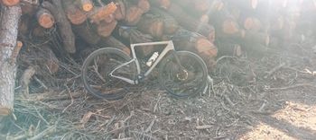 Used Berria BELADOR ALLROAD SPORT 2024 2024 Road & Gravel, Light Gray — image 4 of 5