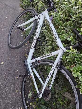 Used Cinelli Cinelli Custom Shimano Ultegra 2005 Road & Gravel — image 13 of 21