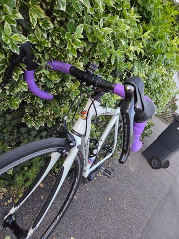 Used Cinelli Cinelli Custom Shimano Ultegra 2005 Road & Gravel — image 9 of 21