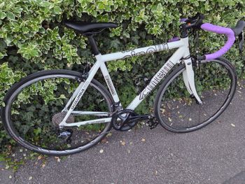 Used Cinelli Cinelli Custom Shimano Ultegra 2005 Road & Gravel — image 17 of 21