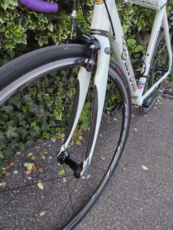 Used Cinelli Cinelli Custom Shimano Ultegra 2005 Road & Gravel — image 7 of 21