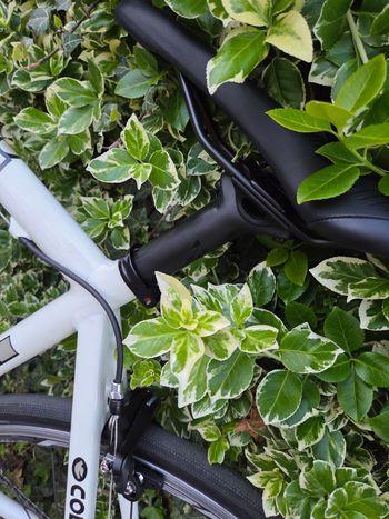 Used Cinelli Cinelli Custom Shimano Ultegra 2005 Road & Gravel — image 12 of 21