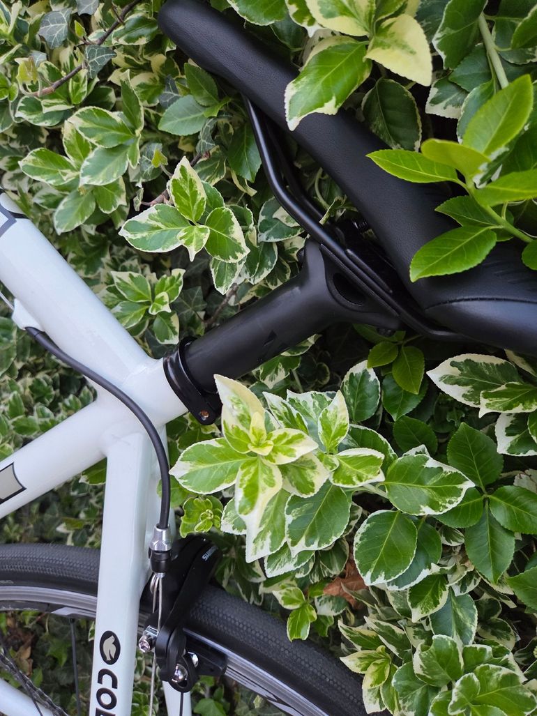 Used Cinelli Cinelli Custom Shimano Ultegra 2005 Road & Gravel — image 12 of 21