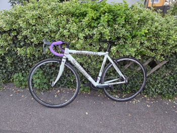 Used Cinelli Cinelli Custom Shimano Ultegra 2005 Road & Gravel — image 2 of 21