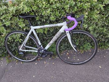 Used Cinelli Cinelli Custom Shimano Ultegra 2005 Road & Gravel